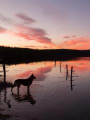 Gospodar_ Andrej Udovič